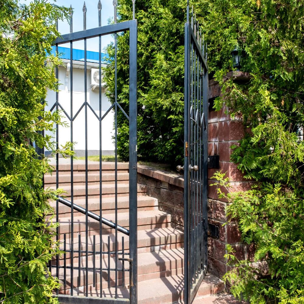 Steel Gate backyard